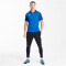 PUMA teamGOAL 23 Sideline Poloshirt electric blue lemonade/team power blue L