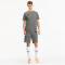 PUMA teamGOAL 23 Casuals T-Shirt medium gray heather L