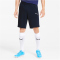 PUMA teamGOAL 23 Casuals Shorts peacoat M