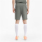 PUMA teamGOAL 23 Casuals Shorts medium gray heather M
