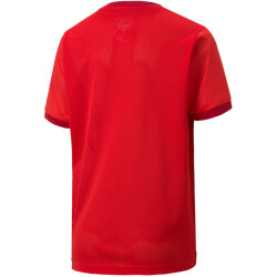 PUMA teamGOAL 23 Trainingsshirt Kinder PUMA red/chili...