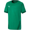 PUMA teamGOAL 23 Trainingsshirt Kinder pepper green/power green 152