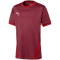 PUMA teamGOAL 23 Trainingsshirt Kinder cordovan/chili pepper 152