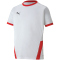 PUMA teamGOAL 23 Trainingsshirt Kinder puma white/puma red 164