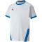 PUMA teamGOAL 23 Trainingsshirt Kinder puma white/electric blue lemonade 128