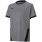 PUMA teamGOAL 23 Trainingsshirt Kinder steel gray/puma black 152