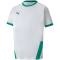 PUMA teamGOAL 23 Trainingsshirt Kinder puma white/pepper green 152