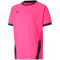 PUMA teamGOAL 23 Trainingsshirt Kinder fluo pink/puma black 152