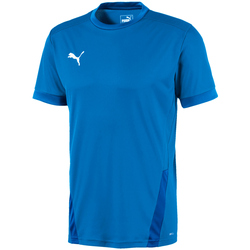 PUMA teamGOAL 23 Trainingsshirt electric blue...