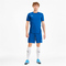 PUMA teamGOAL 23 Trainingsshirt electric blue lemonade/team power blue M