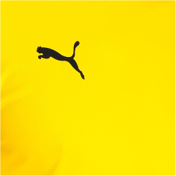 PUMA teamGOAL 23 Trainingsshirt cyber yellow/spectra yellow S