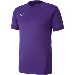 PUMA teamGOAL 23 Trainingsshirt prism violet/tillandsia...