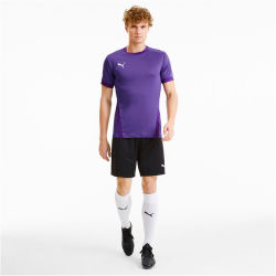 PUMA teamGOAL 23 Trainingsshirt prism violet/tillandsia purple 3XL