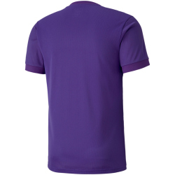PUMA teamGOAL 23 Trainingsshirt prism violet/tillandsia purple 3XL