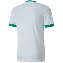 PUMA teamGOAL 23 Trainingsshirt puma white/pepper green XXL
