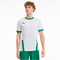 PUMA teamGOAL 23 Trainingsshirt puma white/pepper green XXL
