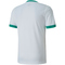 PUMA teamGOAL 23 Trainingsshirt puma white/pepper green XXL