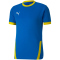 PUMA teamGOAL 23 Trainingsshirt electric blue lemonade/cyber yellow S