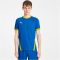 PUMA teamGOAL 23 Trainingsshirt electric blue lemonade/cyber yellow S