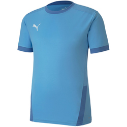 PUMA teamGOAL 23 Trainingsshirt team light blue/blue...