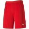 PUMA teamFINAL 21 Knit Shorts PUMA red XXL