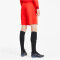 PUMA teamGOAL 23 Knit Shorts puma red L