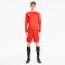 PUMA teamGOAL 23 Knit Shorts puma red L