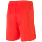 PUMA teamGOAL 23 Knit Shorts puma red L