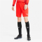PUMA teamGOAL 23 Knit Shorts PUMA red XL
