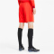 PUMA teamGOAL 23 Knit Shorts PUMA red XL