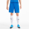 PUMA teamGOAL 23 Knit Shorts electric blue lemonade M