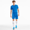 PUMA teamGOAL 23 Knit Shorts electric blue lemonade XL
