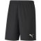 PUMA teamGOAL 23 Knit Shorts puma black XXL