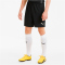 PUMA teamGOAL 23 Knit Shorts puma black XXL