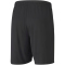 PUMA teamGOAL 23 Knit Shorts puma black XXL
