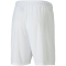 PUMA teamGOAL 23 Knit Shorts PUMA white XL