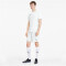 PUMA teamGOAL 23 Knit Shorts puma white 3XL