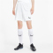 PUMA teamGOAL 23 Knit Shorts PUMA white M