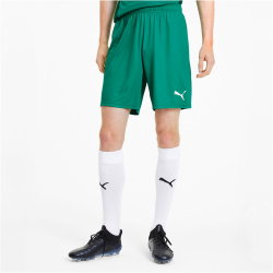 PUMA teamGOAL 23 Knit Shorts pepper green XXL