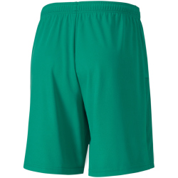 PUMA teamGOAL 23 Knit Shorts pepper green XXL