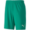 PUMA teamGOAL 23 Knit Shorts pepper green XXL