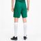 PUMA teamGOAL 23 Knit Shorts pepper green XXL
