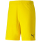 PUMA teamGOAL 23 Knit Shorts cyber yellow XL