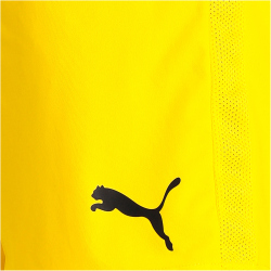 PUMA teamGOAL 23 Knit Shorts cyber yellow XXL