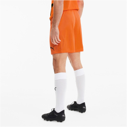 PUMA teamGOAL 23 Knit Shorts golden poppy XL