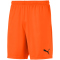 PUMA teamGOAL 23 Knit Shorts golden poppy XL