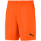 PUMA teamGOAL 23 Knit Shorts golden poppy M