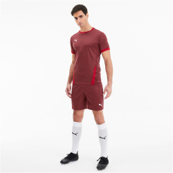 PUMA teamGOAL 23 Knit Shorts cordovan L