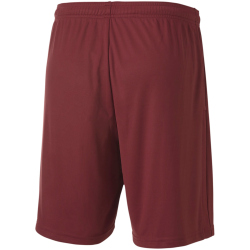 PUMA teamGOAL 23 Knit Shorts cordovan L