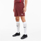 PUMA teamGOAL 23 Knit Shorts cordovan L